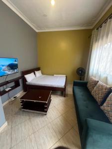 TV a/nebo společenská místnost v ubytování Pearl suites