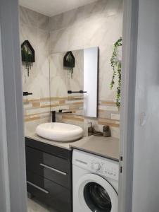 a bathroom with a washing machine and a sink at Appartement charmant à Noyers-sur-Cher - 45 m² - Parking in Noyers-sur-Cher