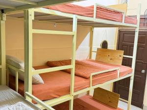 een kamer met 2 stapelbedden bij An Homestay CN2 in Ấp Bình Hưng +14 foto's