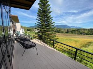 a balcony with two chairs and a pine tree at ฌานติรีสอร์ท เขาค้อ in Ban Nong Chaeng