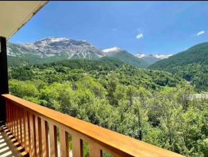 Příroda nedaleko apartmánu