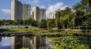 a pond in a park with tall buildings in the background at GreenTree Alliance Hotel Chengdu Wenjiang University Town in Chengdu