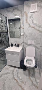 ein Badezimmer mit einem weißen Waschbecken und einer Toilette in der Unterkunft Studio Premium in Târgu Jiu + 4 Fotos