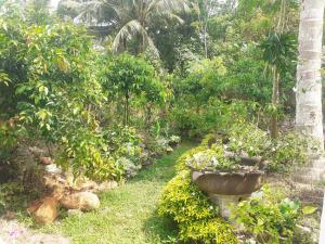 Zahrada ubytování Cinnamon Vibe Family Resort