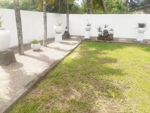ein Hof mit mehreren weißen Vasen und Gras in der Unterkunft Cinnamon Vibe Family Resort in Uragasmanhandiya