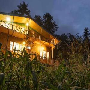 Κήπος έξω από το Moon Light Cottage