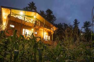 Κήπος έξω από το Moon Light Cottage