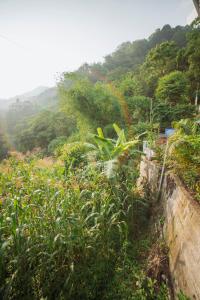 Loodusmaastik talumajutuse lähedal +1 foto