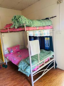 a couple of bunk beds in a room at HOSTEL ANIMAL LOvE in Sauraha
