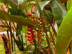 En have udenfor House of Mud Eco Friendly Room + 13 billeder