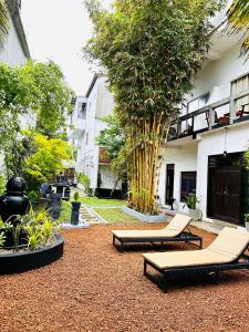 a courtyard with two lounge chairs and a tree at Cocoplant Surf Inn in Midigama