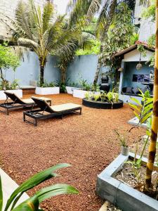 a courtyard with two lounge chairs and palm trees at Cocoplant Surf Inn in Midigama +251 photos