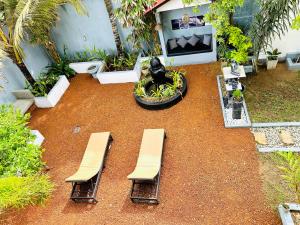 Κήπος έξω από το Cocoplant Surf Inn +127 φωτογραφίες