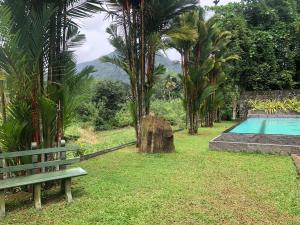 a green park bench sitting next to a swimming pool at Sinharaja Cottage in Nelluwa