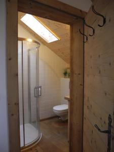 ein Bad mit einer Glasdusche und einem WC in der Unterkunft L'Ours in Bischwiller