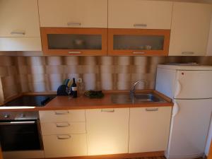 Kuchyňa alebo kuchynka v ubytovaní Apartment Orlić