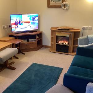 a living room with a tv and a fireplace at polgoon Vineyard annex Penzance in Penzance