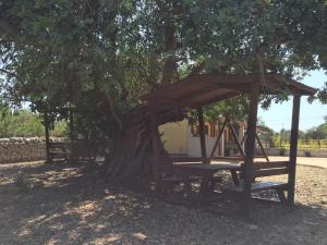 Zahrada ubytování Agriturismo Il Melograno
