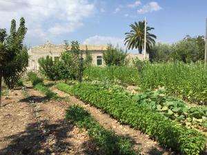 Zahrada ubytování Agriturismo Il Melograno