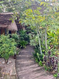 Сад в Blue monkey - Bouldering Guesthouse +50 фотографий