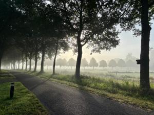 Φυσικό τοπίο κοντά σε αυτή η παραθεριστική κατοικία +12 φωτογραφίες