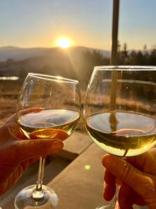 a person holding a glass of white wine at Schaefers' Halt in Dullstroom +112 photos