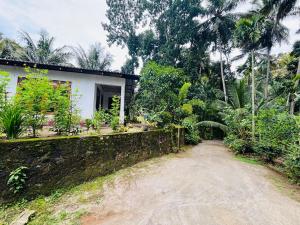 KandyYasasa Spiritual Ayurvedic Villa的树屋旁的土路