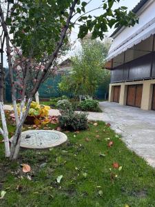Afbeelding uit fotogalerij van MG rental in Chişinău
