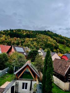 a view of a village with houses and trees at Tiny house jacuzzi extérieur privé proche de Kaysersberg Colmar in Lapoutroie