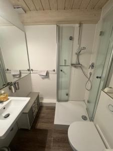 a bathroom with a shower and a toilet and a sink at Lieblingsplatz in Wrixum