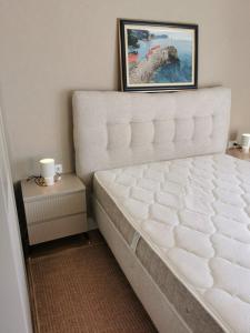 a bed in a room with a picture on the wall at Mira apartman Oliva Residence in Petrovac na Moru +9 photos