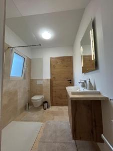 a bathroom with a sink and a toilet at Panorama Loft Bad Aussee in Bad Aussee