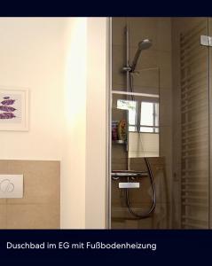 a shower with a shower head in a bathroom at Claras Strandhuus in Zingst