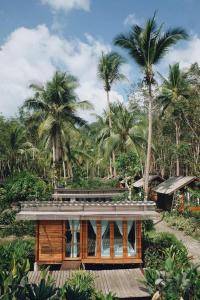 Zahrada ubytování Jungle Koh Kood Resort