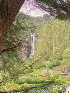 Φυσικό τοπίο κοντά σε αυτή η βίλα