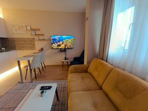 a living room with a couch and a table at Aria Apartment in Prishtinë