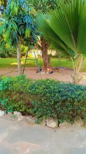 a swing in a park with a palm tree at Zion Apartment Diani in Diani Beach