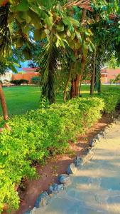 a stone path in a park with trees and grass at Zion Apartment Diani in Diani Beach