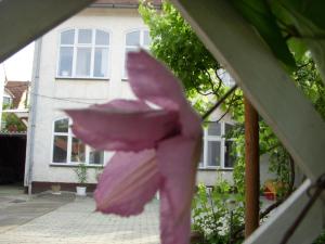 Φωτογραφία από το άλμπουμ του Garden Szivárvány utcai Vendégház στο Σέγκεντ +37 φωτογραφίες