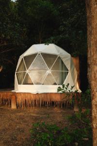 a tent sitting on a bench in a forest at Bubble Paradise, Koh ta Kiev in Koh Ta kiev Island
