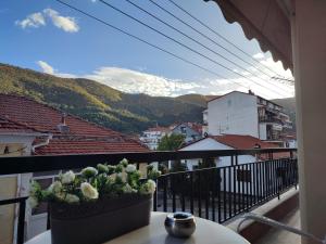 a balcony with a potted plant on a table at Mountain View Apartment in Florina