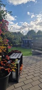 Zahrada ubytování Śpij-tu dom wypoczynkowy jacuzzi w cenie