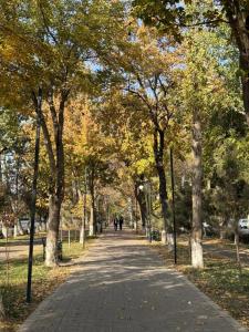a path in a park with trees and people walking down it at MOK Apartment in Samarkand