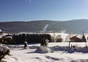 a snow covered yard with a house in the background at Chalet Mouthe 6 personnes in Mouthe