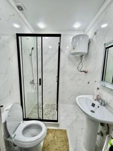 a bathroom with a shower and a toilet and a sink at Keruen Saray Apartaments 1 in Türkistan