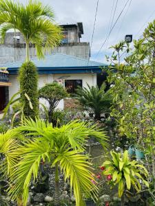 Κήπος έξω από το Romar's Transient