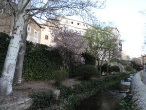a river with trees and buildings in the background at Casa La Muralla, reformada en Casco Antiguo in Cuenca