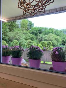 Foto dalla galleria di Beautiful apartment in Dornach a Dornach