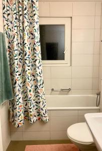 Koupelna v ubytování Beautiful apartment in Dornach