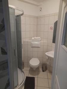 a small bathroom with a toilet and a sink at Noclegi u Marii in Gorzów Wielkopolski